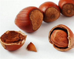 Turto fino